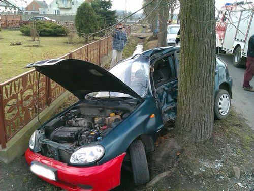 Lanosem w drzewo - zdjęcia