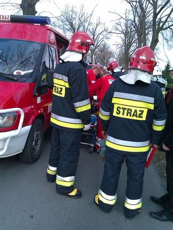 Lanosem w drzewo - zdjęcia