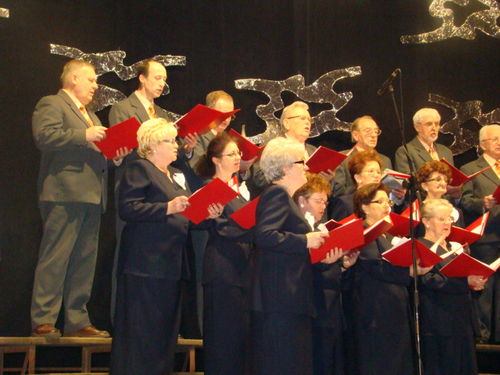 Wielka sława to żart (galeria)