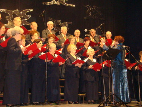 Wielka sława to żart (galeria)