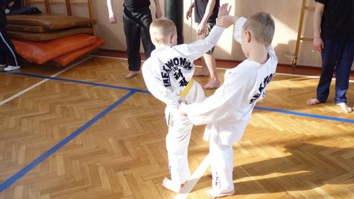 I Seminarium Samoobrony i Walki Wręcz - galeria