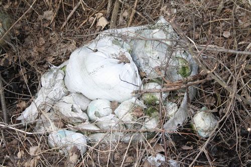 Rzeczywistość odkrywana wiosną - zdjęcia