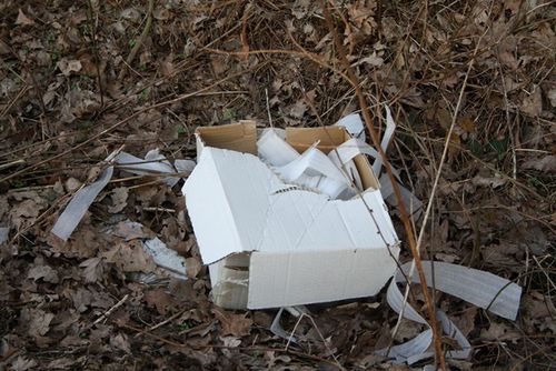 Rzeczywistość odkrywana wiosną - zdjęcia