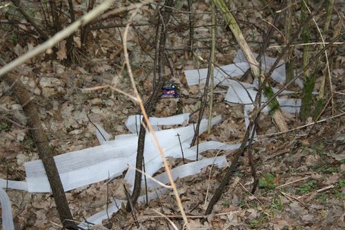 Rzeczywistość odkrywana wiosną - zdjęcia