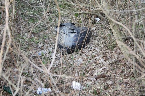 Rzeczywistość odkrywana wiosną - zdjęcia