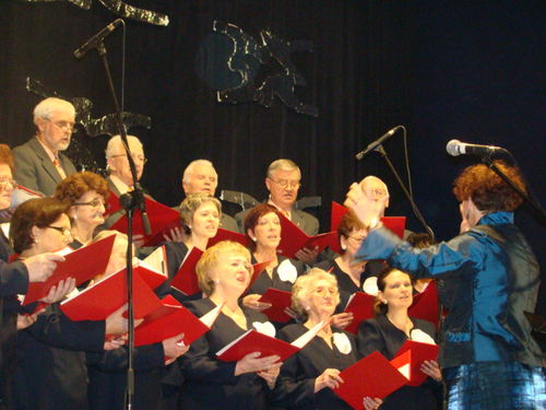 Wielka sława to żart (galeria)