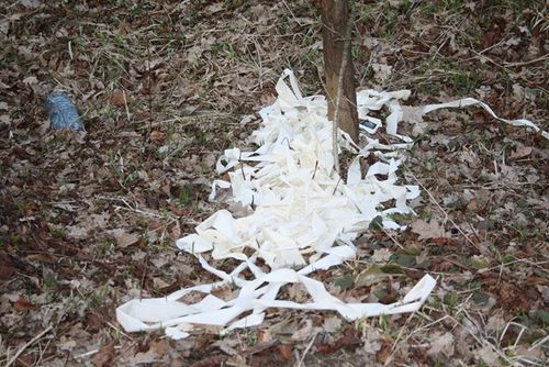 Rzeczywistość odkrywana wiosną - zdjęcia