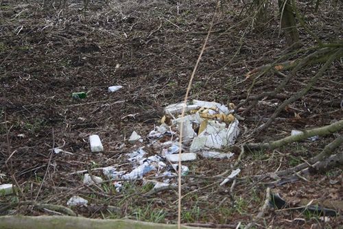 Rzeczywistość odkrywana wiosną - zdjęcia