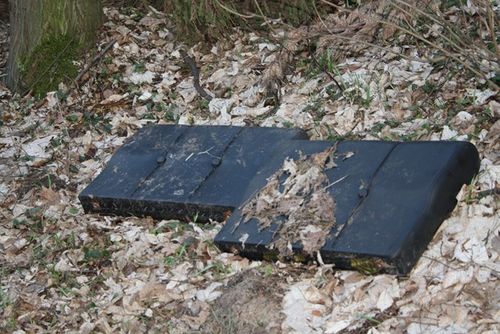 Rzeczywistość odkrywana wiosną - zdjęcia