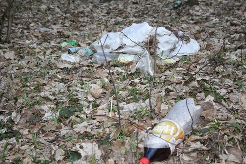 Rzeczywistość odkrywana wiosną - zdjęcia