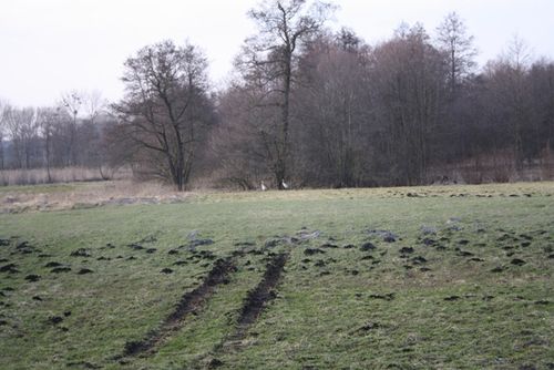 Rzeczywistość odkrywana wiosną - zdjęcia