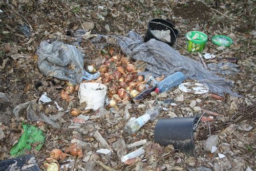 Rzeczywistość odkrywana wiosną - zdjęcia