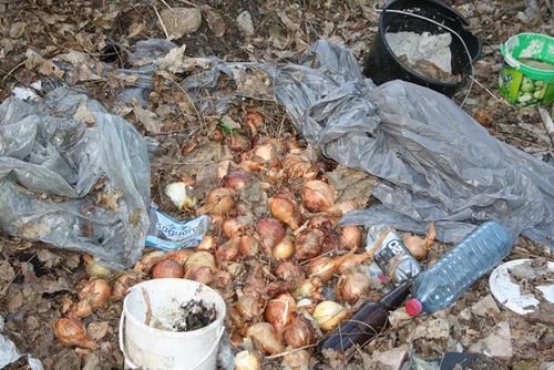 Rzeczywistość odkrywana wiosną - zdjęcia