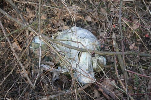 Rzeczywistość odkrywana wiosną - zdjęcia