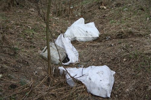 Rzeczywistość odkrywana wiosną - zdjęcia