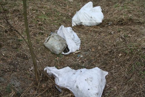 Rzeczywistość odkrywana wiosną - zdjęcia