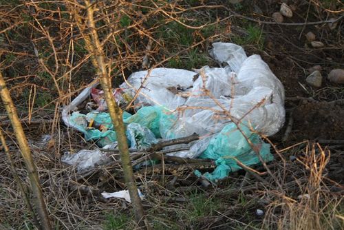 Rzeczywistość odkrywana wiosną - zdjęcia