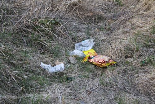 Rzeczywistość odkrywana wiosną - zdjęcia