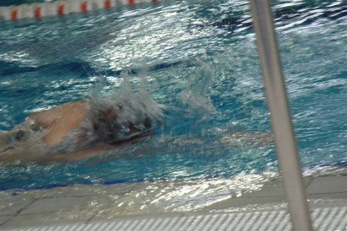 Pływają coraz lepiej - galeria