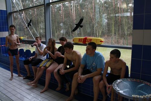 Pływają coraz lepiej - galeria