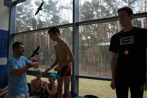 Pływają coraz lepiej - galeria