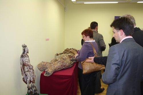 Niektóre mają po 500 lat - zdjęcia