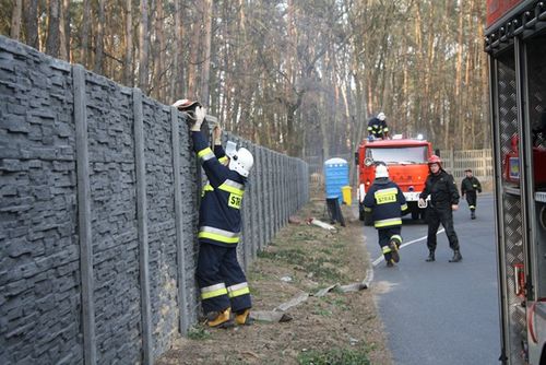 Strażackie ćwiczenia w hucie szkła -  galeria
