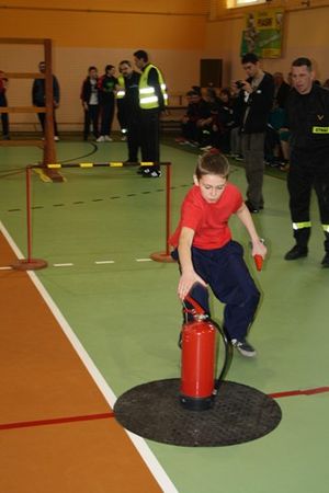 Najlepsi z najlepszych - galeria