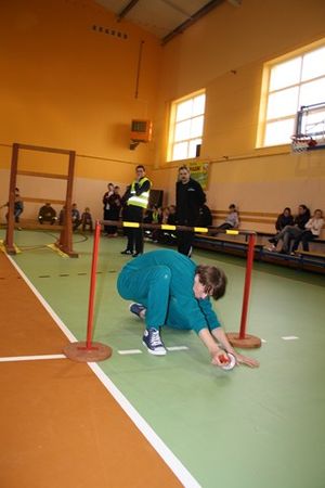 Najlepsi z najlepszych - galeria