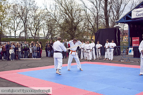 Ludzie o wielkich sercach - fotorelacja