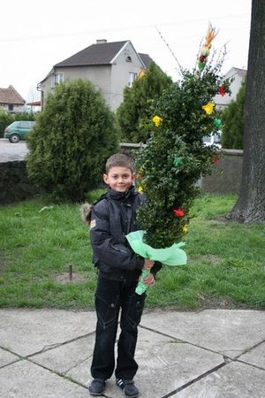 Kultywują piękna tradycję - zdjęcia