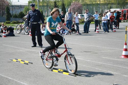 W świetle obowiązujących przepisów - zdjęcia