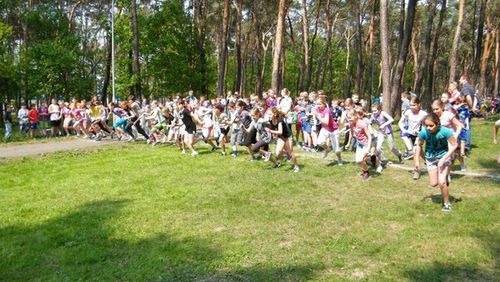 Uczcili pamięć patrona szkoły - zdjęcia