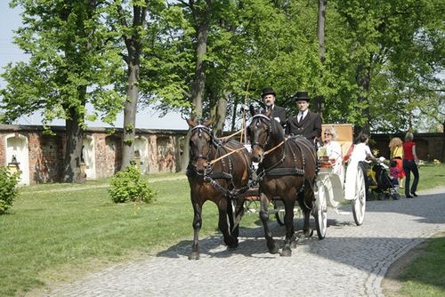 Błogosławiony wśród aniołów - galeria