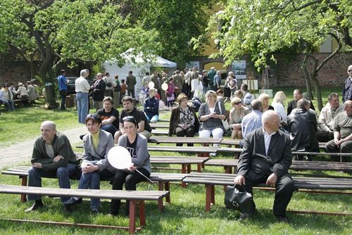 Błogosławiony wśród aniołów - galeria