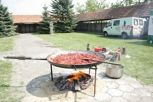 Błogosławiony wśród aniołów - galeria