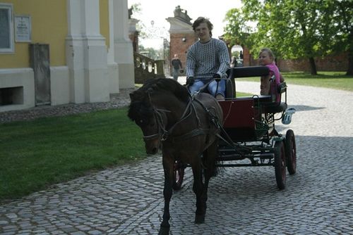 Błogosławiony wśród aniołów - galeria