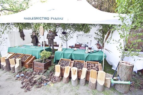 Błogosławiony wśród aniołów - galeria