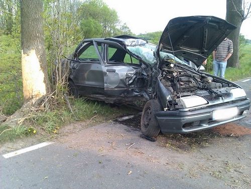 Na długo zapamięta ten dzień - zdjęcia