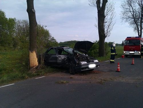 Na długo zapamięta ten dzień - zdjęcia