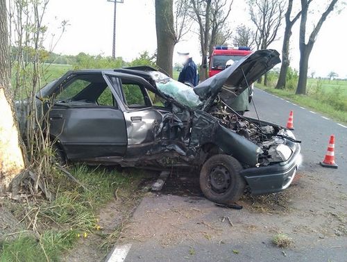 Na długo zapamięta ten dzień - zdjęcia