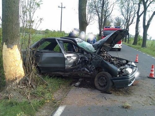Na długo zapamięta ten dzień - zdjęcia