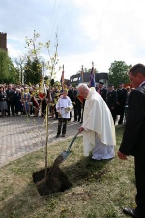 Dla błogosławionego Jana Pawła II - fotorelacja
