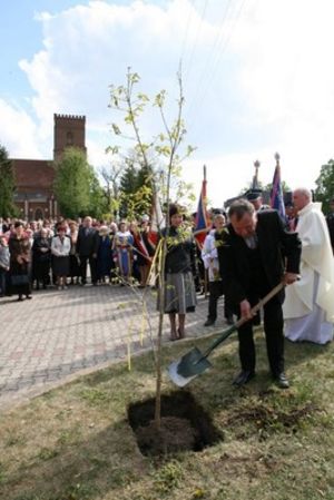 Dla błogosławionego Jana Pawła II - fotorelacja