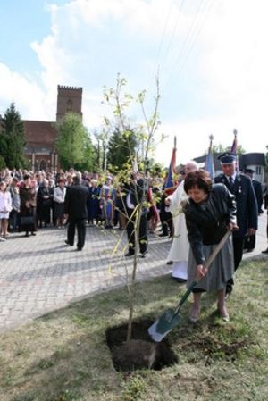 Dla błogosławionego Jana Pawła II - fotorelacja