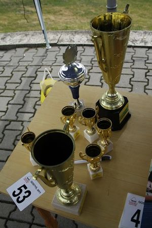 Pobiegli na szczyt - galeria