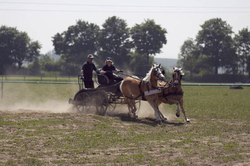 Konno przez Podrzecze  - fotorelacja