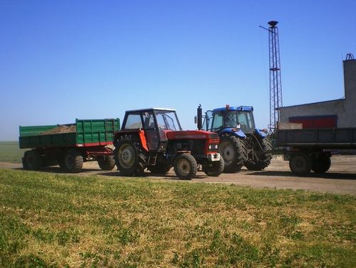 Wykonali kawał dobrej roboty - zdjęcia