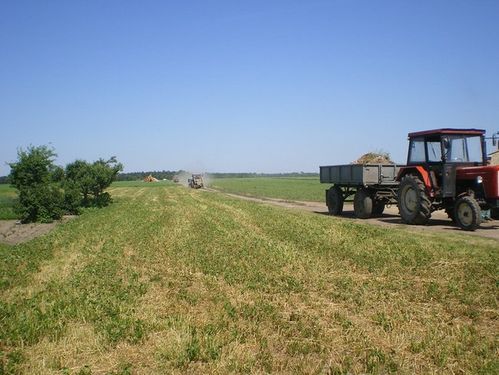 Wykonali kawał dobrej roboty - zdjęcia