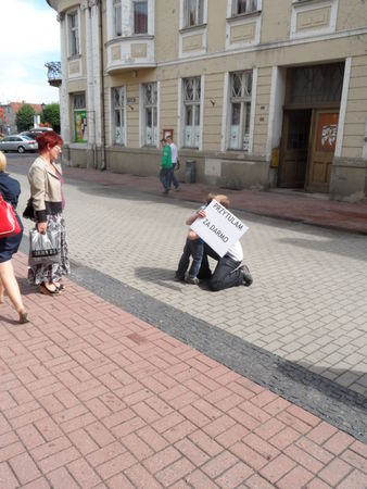 Niewielu chętnych do przytulania - zdjęcia